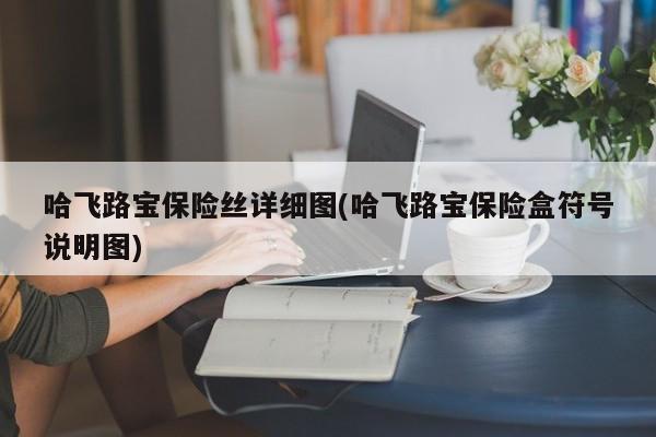 哈飞路宝保险丝详细图(哈飞路宝保险盒符号说明图)