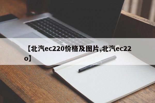 【北汽ec220价格及图片,北汽ec22o】