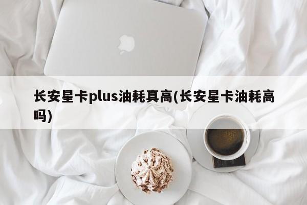 长安星卡plus油耗真高(长安星卡油耗高吗)